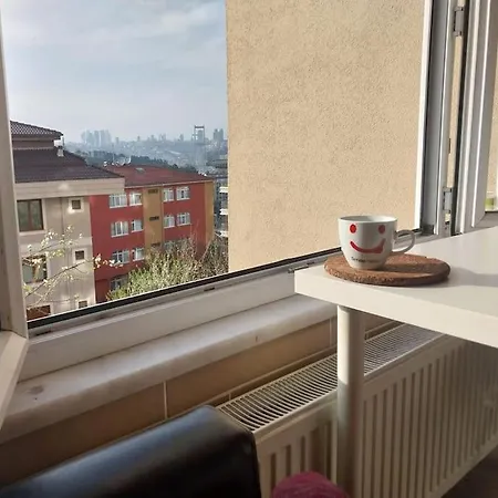 Manzara , Yesillik Ve Kus Sesi * Istambul